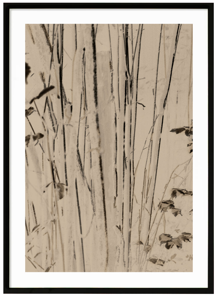 Bamboo poster i en beige ton med svarta detaljer. Svart ram.