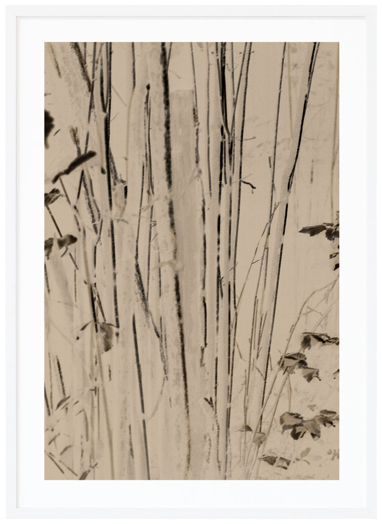 Bamboo poster i en beige ton med svarta detaljer. Vit ram.