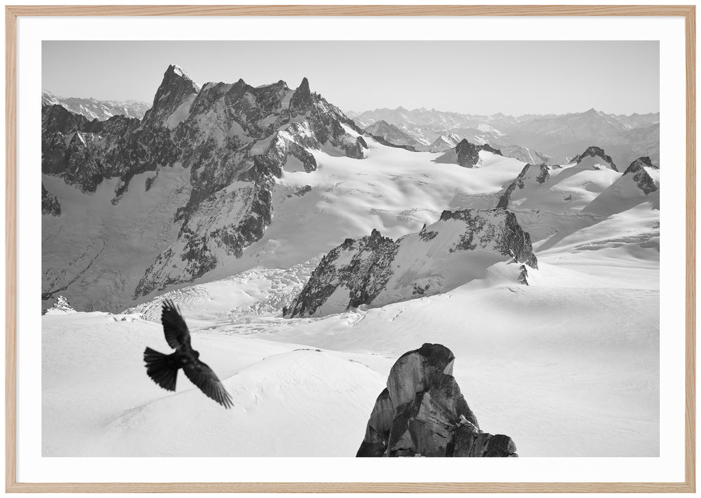 svart-vitt fotografi utöver de franska alperna. Ekram