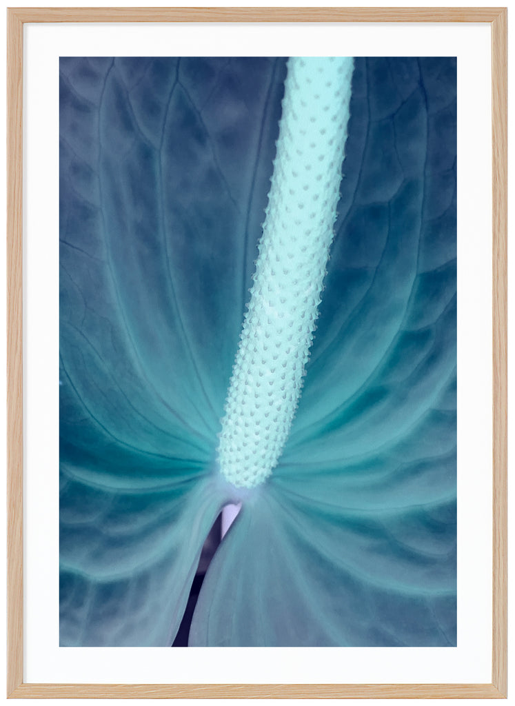 Blue Flamingo