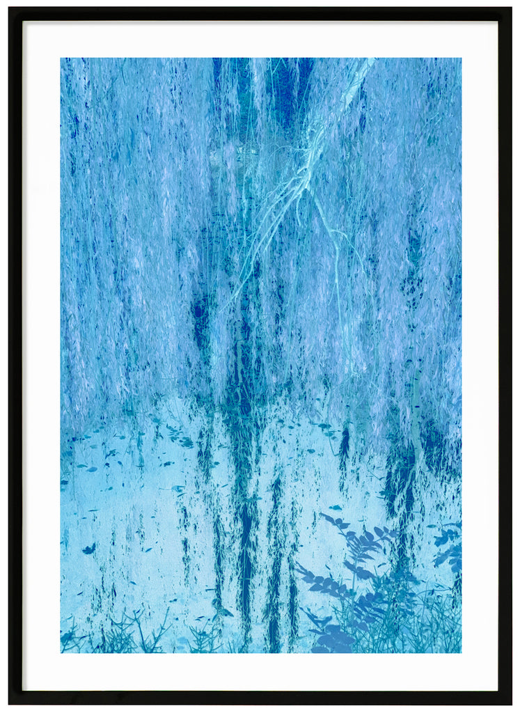 Blue Willow