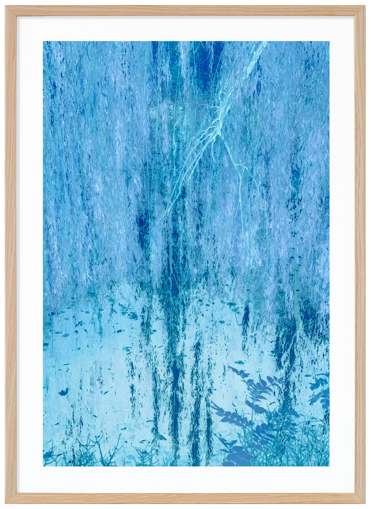 Blue Willow