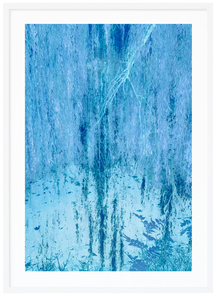 Blue Willow