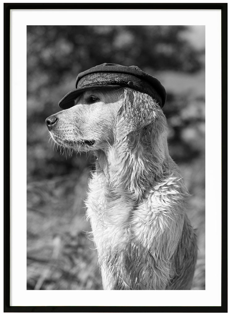 Svart-vit poster. Närbild av hund med hatt som tittar åt sidan. Svart ram.
