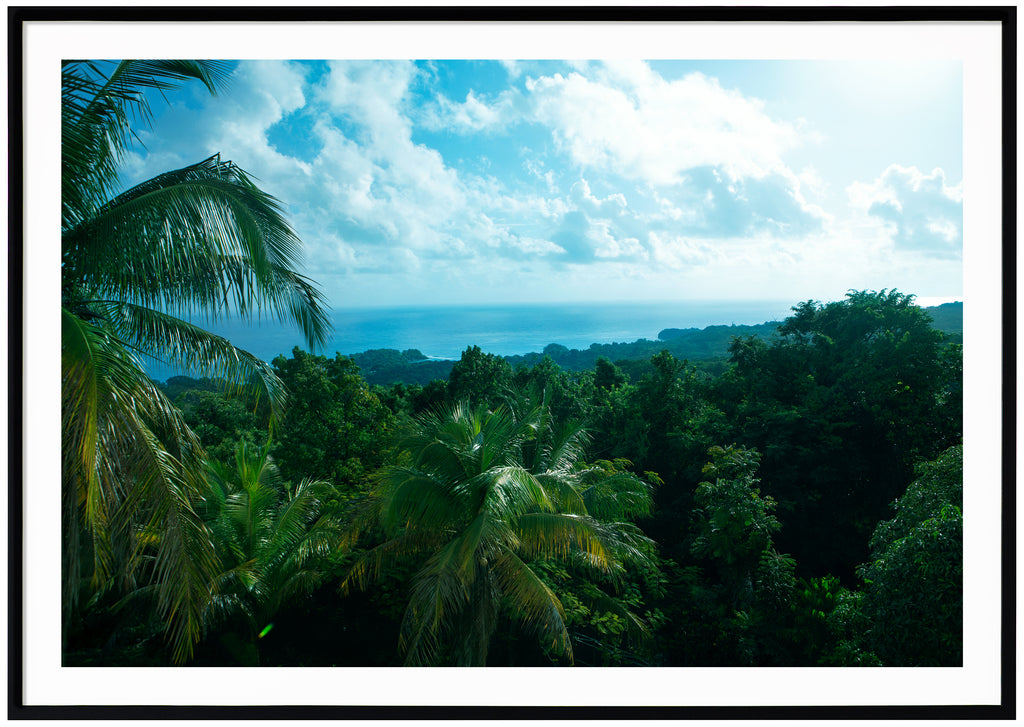 Caribbean Beauty