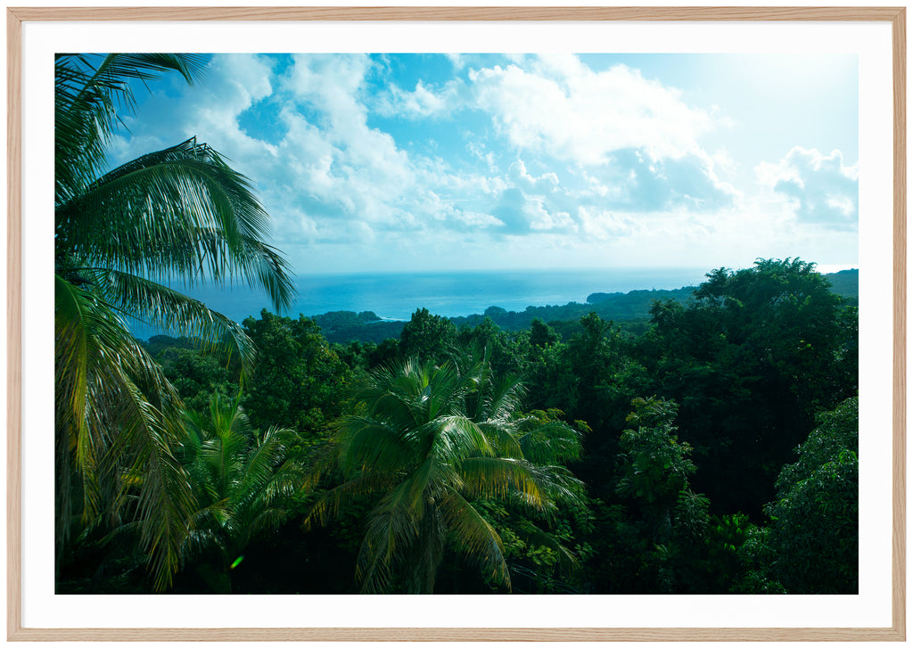 Caribbean Beauty