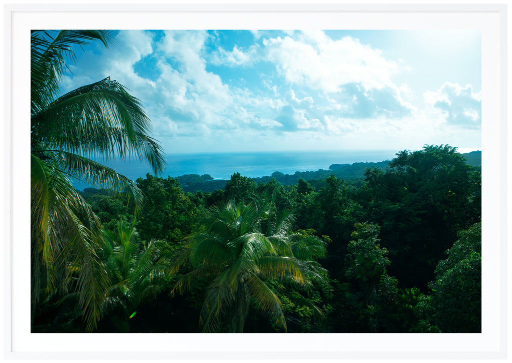 Caribbean Beauty