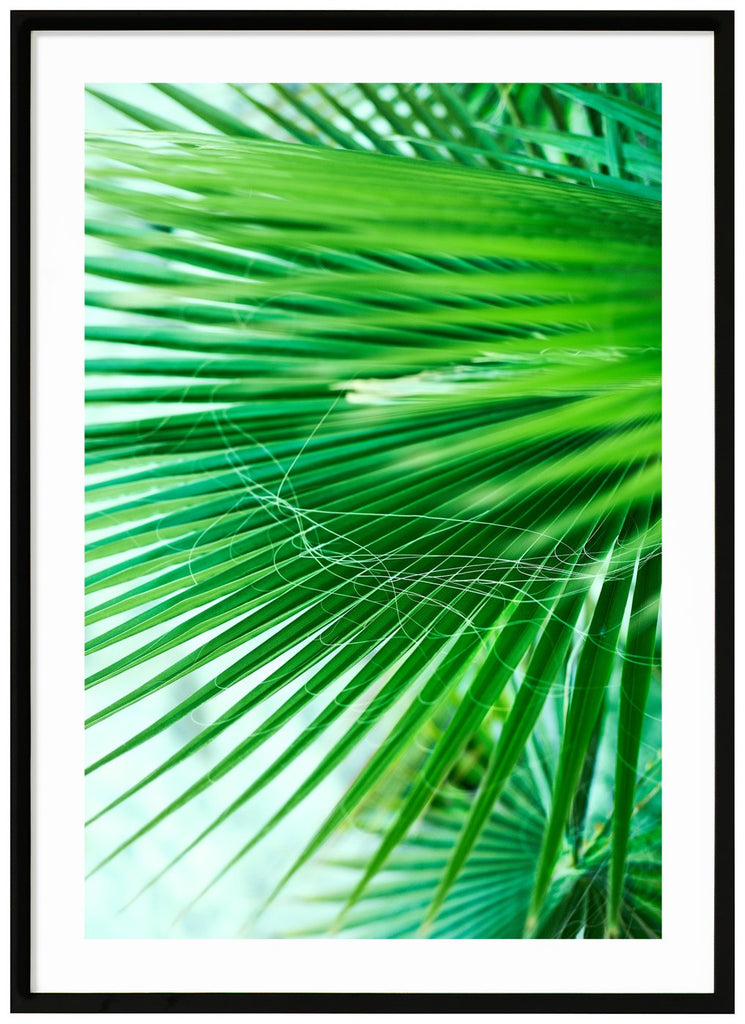 Poster av gröna palmblad. Stående format. Svart ram.