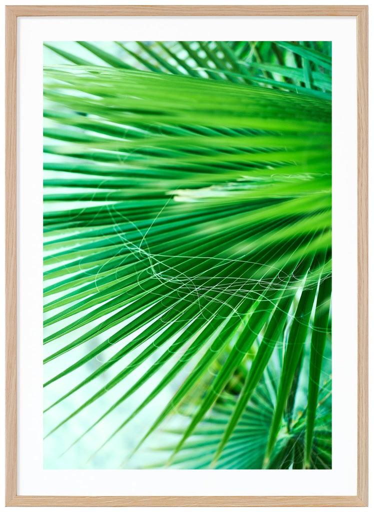 Poster av gröna palmblad. Stående format. Ekram.