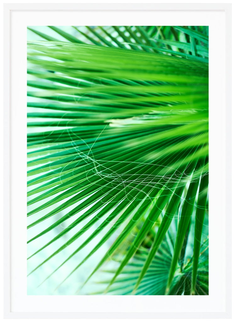 Poster av gröna palmblad. Stående format. Vit ram.