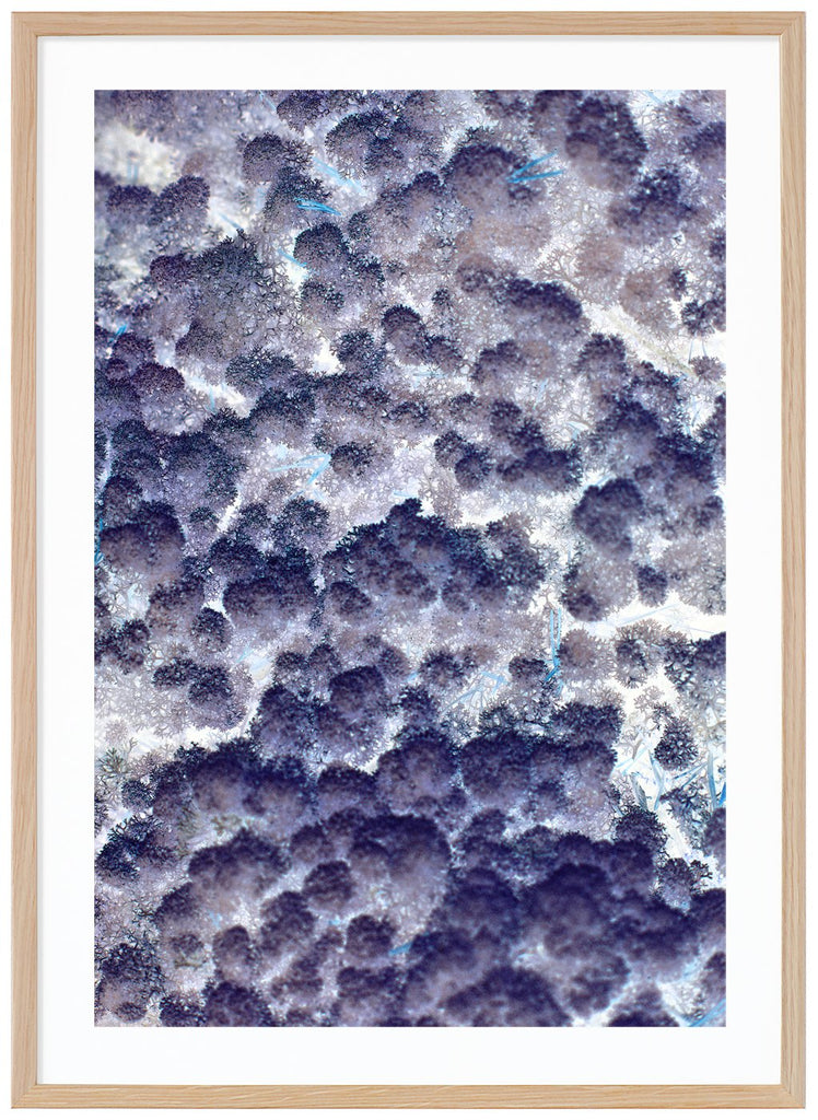 Poster av abstrakt blå lila fläckar. Ekram.