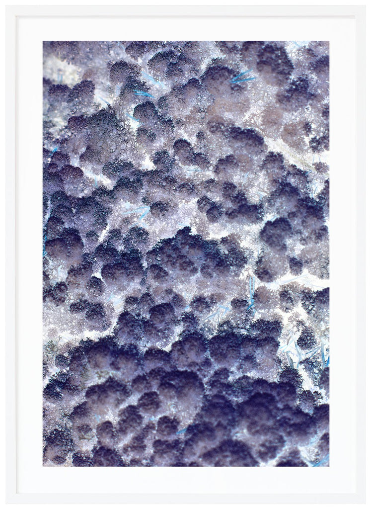 Poster av abstrakt blå lila fläckar. Vit ram.