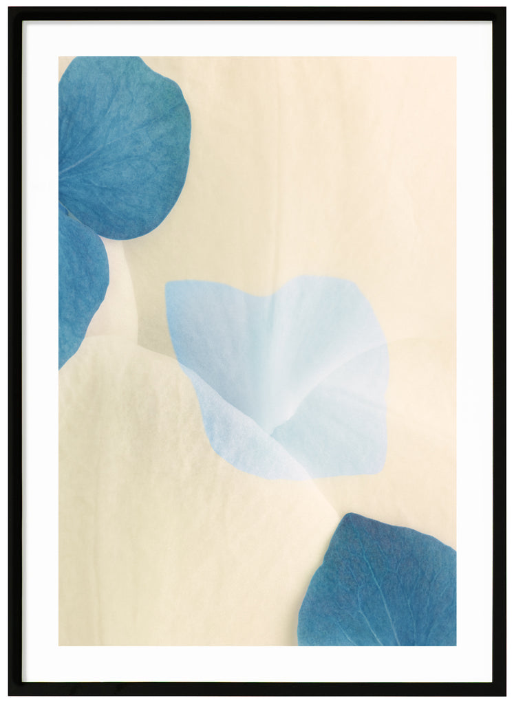 Poster av blå och vita blomblad med grafiska element i motivet. Stående format. Svart ram.