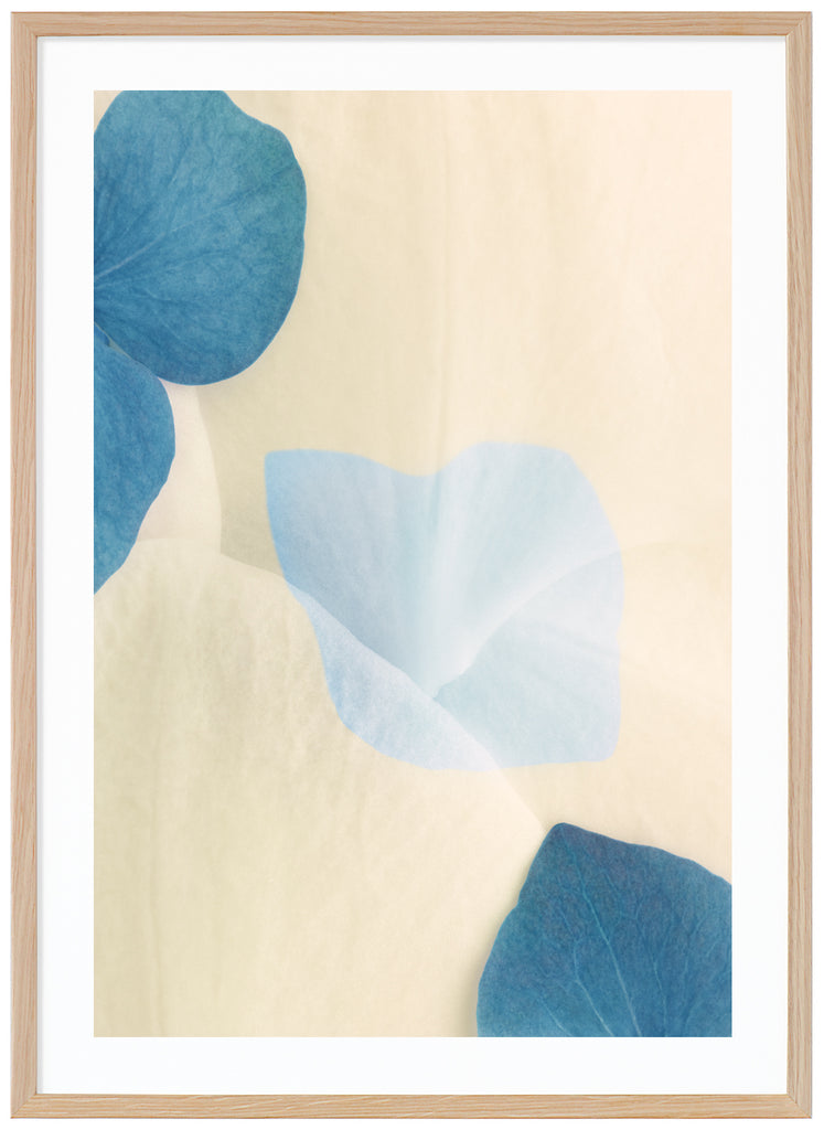 Poster av blå och vita blomblad med grafiska element i motivet. Stående format. Ekram.