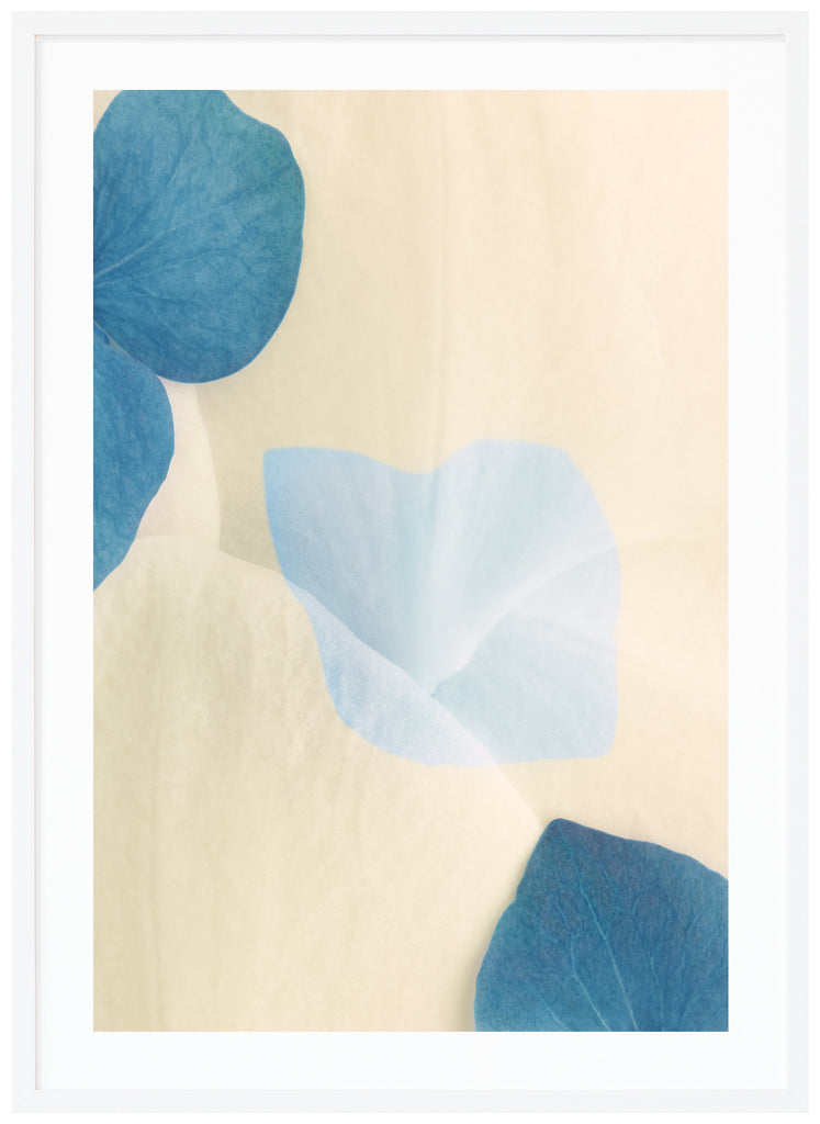 Poster av blå och vita blomblad med grafiska element i motivet. Stående format. Vit ram.