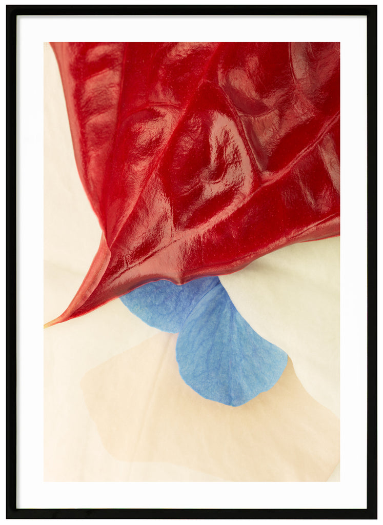 Poster av röda, vita och blå blad med ett vagt grafiskt element. Svart ram.