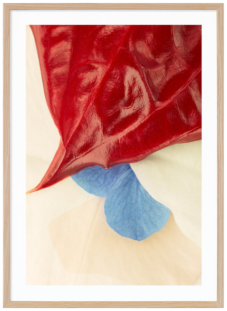 Poster av röda, vita och blå blad med ett vagt grafiskt element. Ekram.