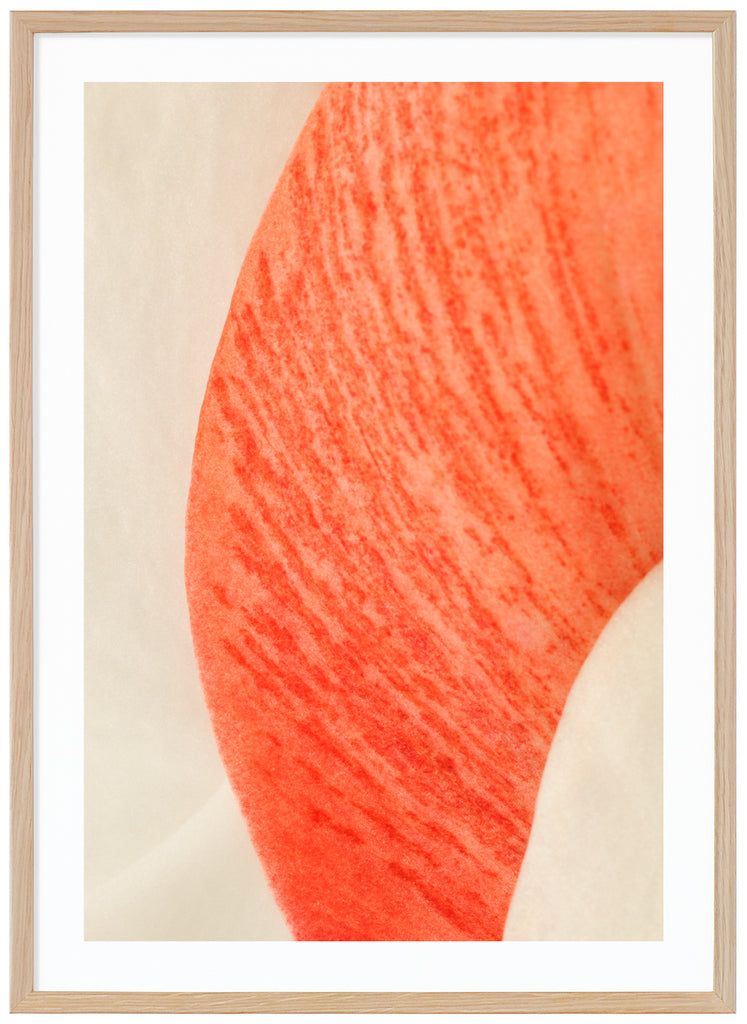 Abstrakt poster av röda och vita blomblad. Röda och orangea toner. Stående format. Ekram.