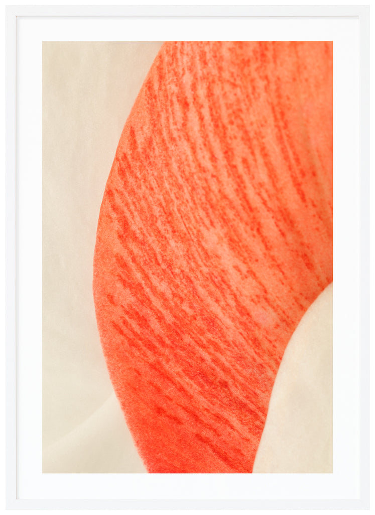 Abstrakt poster av röda och vita blomblad. Röda och orangea toner. Stående format. Vit ram.