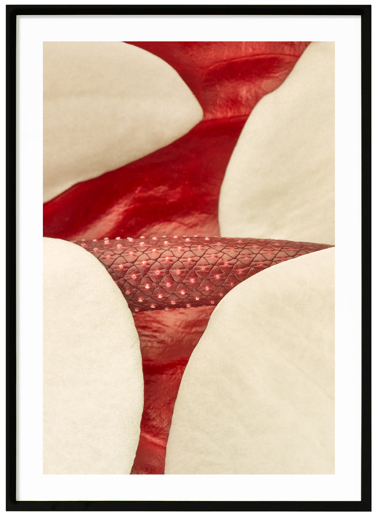 Halv abstrakt poster av röda och vita blad. Svart ram.