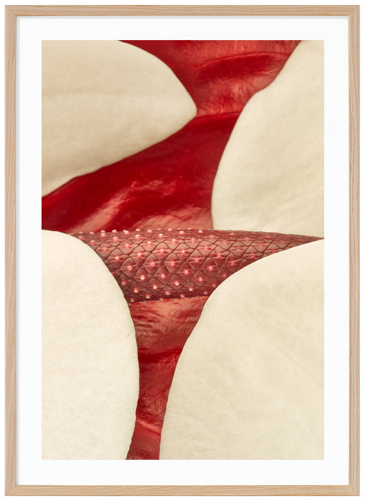 Halv abstrakt poster av röda och vita blad. Ekram.