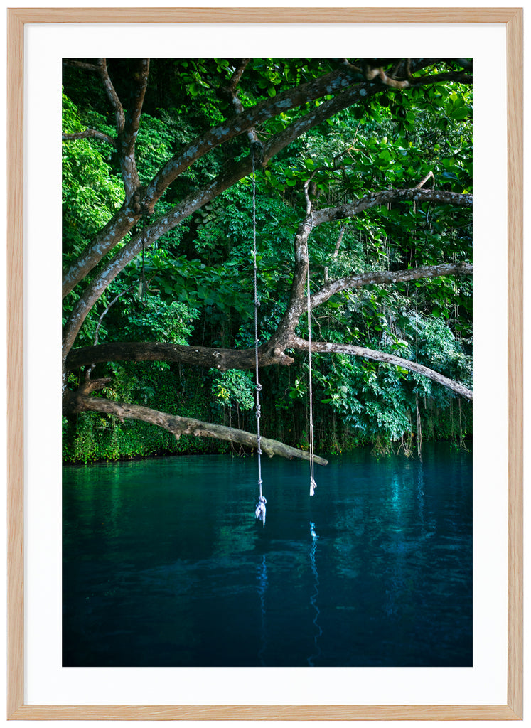 River Swing