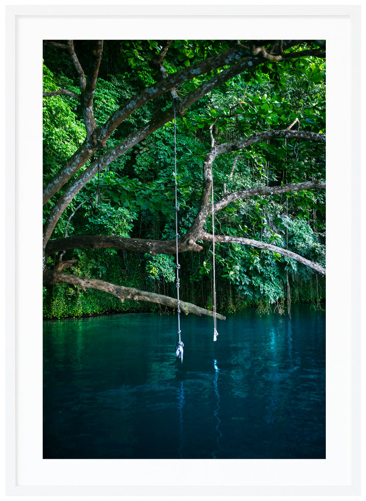 River Swing