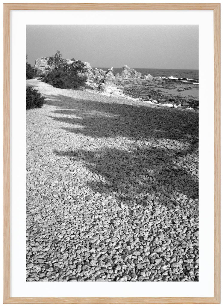 Svart-vit poster av analogt foto. Skugga av träd på Gotlands vita stenar. Vatten och klippor längre fram. Stående format. Ekram.