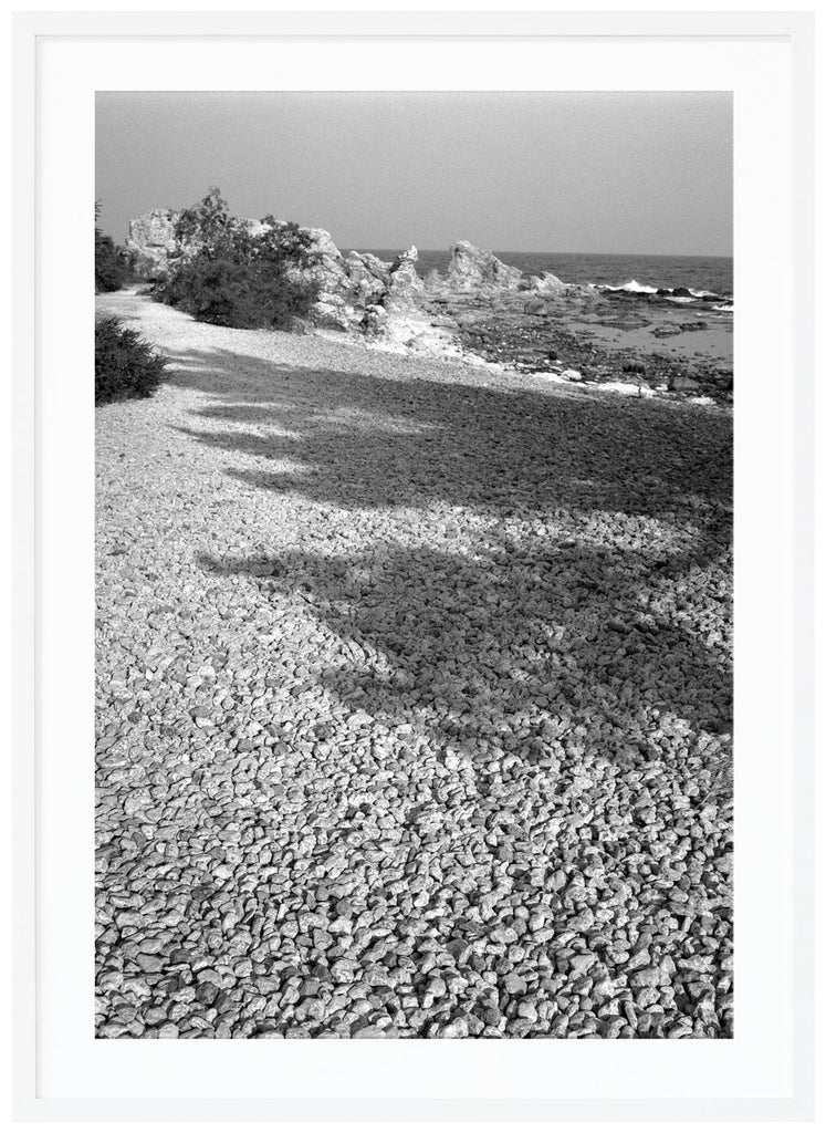 Svart-vit poster av analogt foto. Skugga av träd på Gotlands vita stenar. Vatten och klippor längre fram. Stående format. Vit ram.