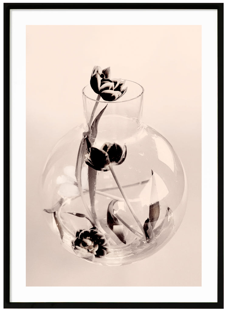 Grafisk fotokonst av en vas i glas med ett antal tulpaner. Svart ram. 